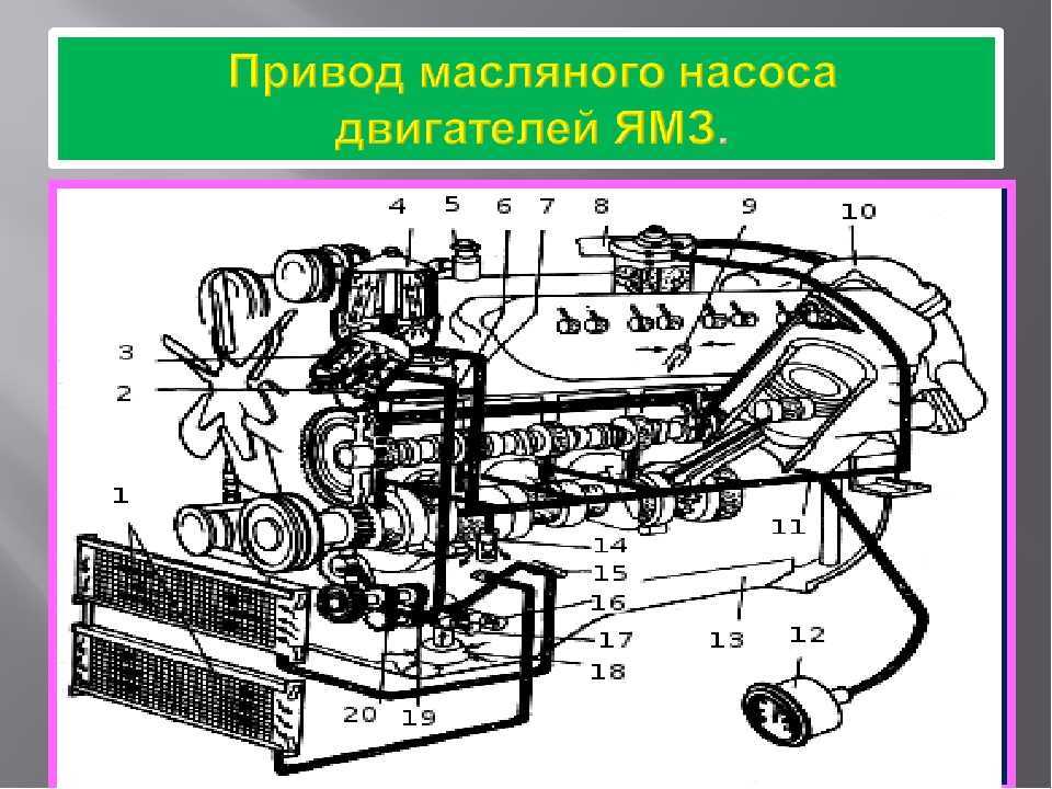 Замена масла в двигателе ямз 238м2: советы и инструкция