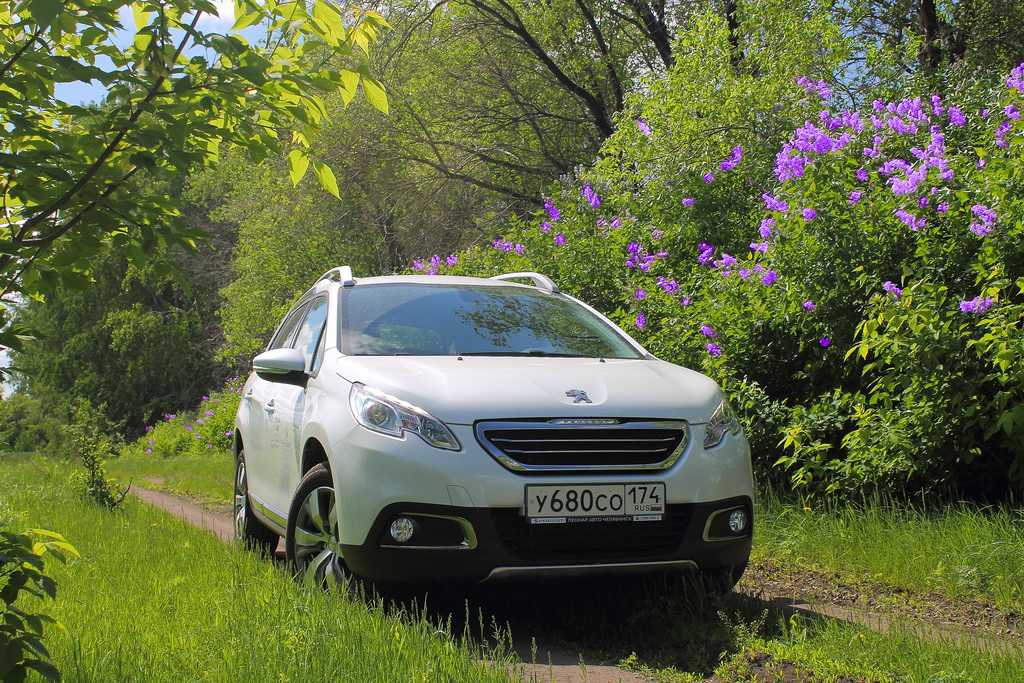 Технические характеристики пежо 308 2008 года: отзывы, фото