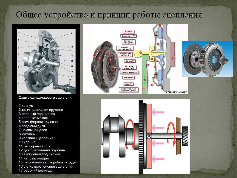 Сцепление диафрагменное | autofizik.ru / авторемонт