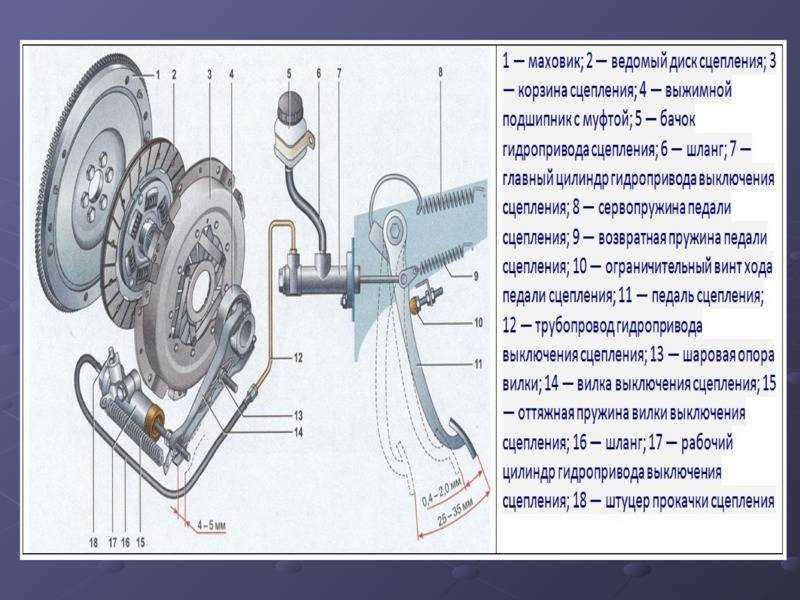 Сцепление с диафрагменной пружиной газ 3110 волга