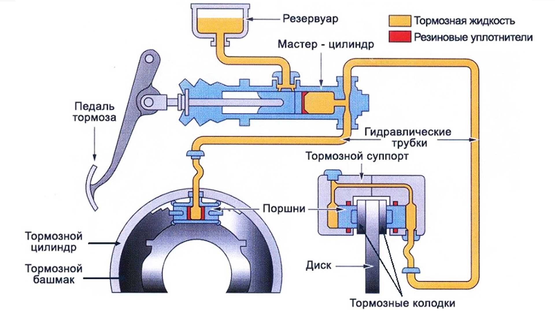 Устройство тормозной системы легкового автомобиля - виды и принцип работы