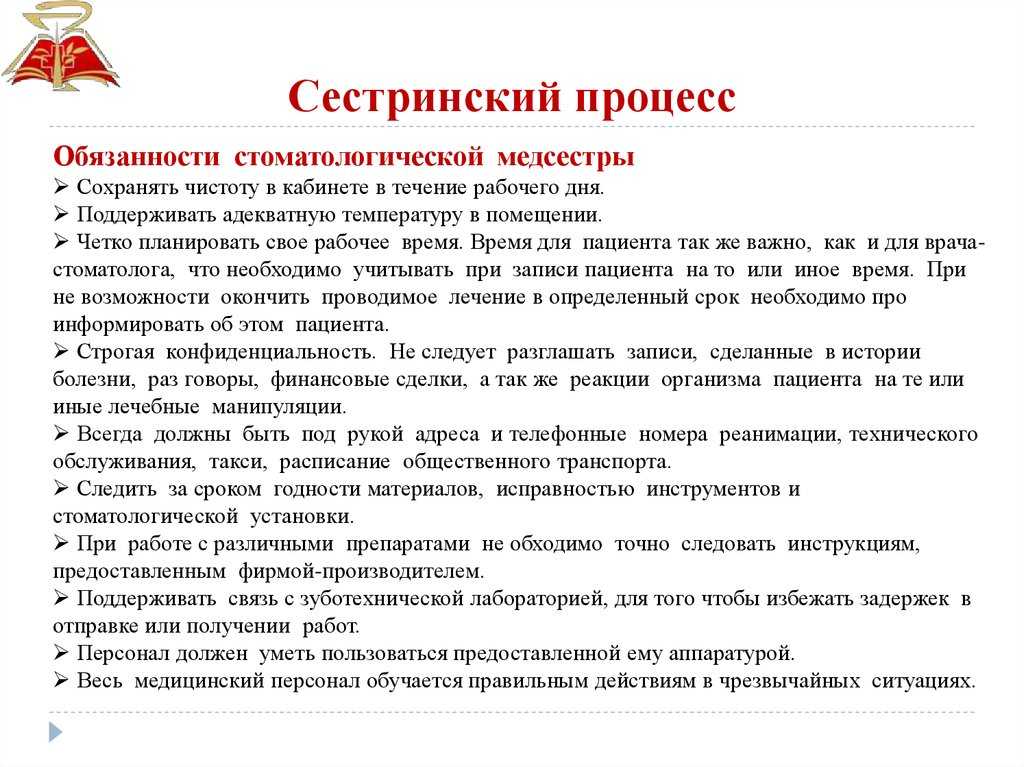 Что такое административная поддержка руководителя: свежие поправки, советы, документы