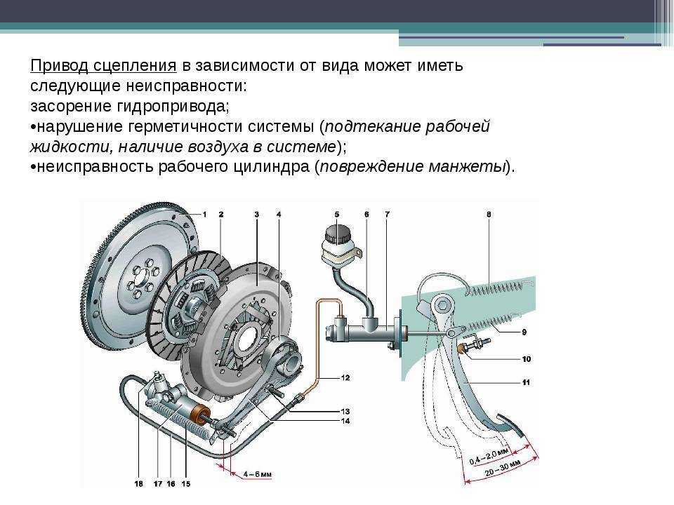 Сцепление с диафрагменной пружиной на газель, устройство, работа